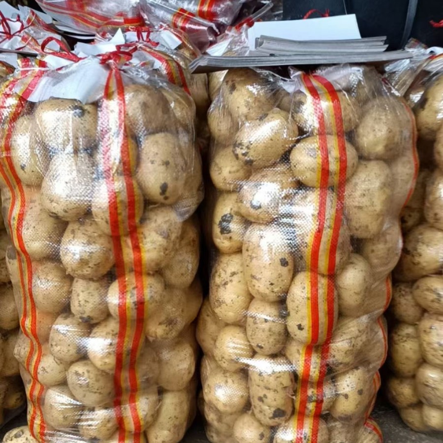 带口绳透明袋编织袋蛇皮袋带子土豆地瓜红薯粉条蔬菜专用厂家批发