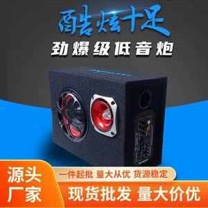 TDR wireless Bluetooth 220V Home speaker Super Bass Car Subwoofer 12V car 24v tunnel audio