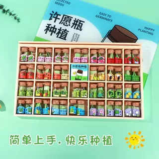 许愿瓶种植方格木质储物盒子小格子饰品分类收纳盒精油收纳木盒