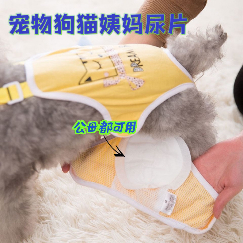 猫と犬のペット用インナーパンツ、吸収性おしっこパッド、雄犬の室内おしっこ防止、雌犬用生理用ナプキン、月経パッド|undefined