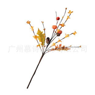 �羳�＾�ж��������Ϲ�����S�չ����hins���W�L�ж����{����֦