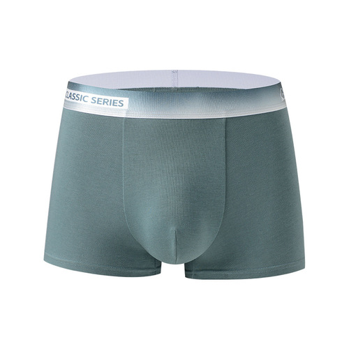 New Gradient Cotton Men's Underwear Comfortable Mid-waist Boxer Briefs Letter Waist Large Size Underwear Men's Cotton Wholesale