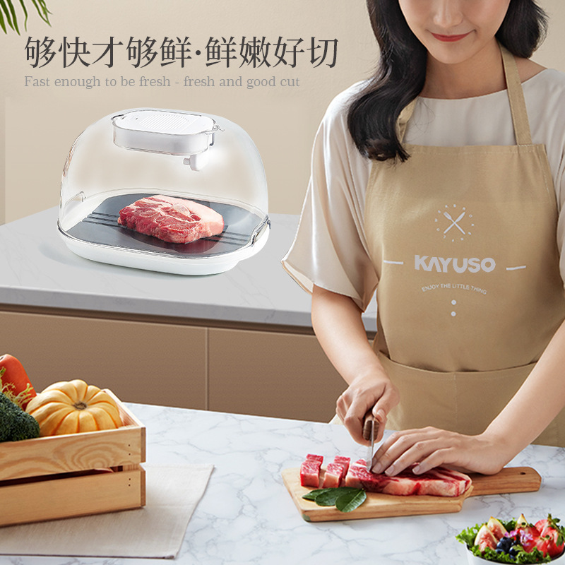 Alimentos domésticos transfronterizos Descongelador rápido carne filete congelado Descongelador portátil cocina atomización Placa de aleación de aluminio