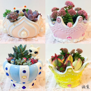 �҃��ֹ�ˇ�մɻ��莧�бP ��Ů��ͨС��������⻨�軨�����]