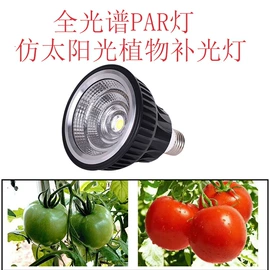 LED灯杯;LED球泡灯;LED蜡烛灯