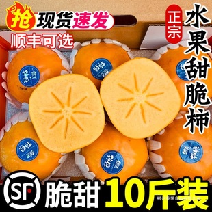 ������ˮ�����r10�����������]�ɿ��������Ӵ�Ƥ�SӲ��������