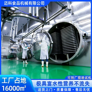 榴莲菠萝蜜真空冷冻干燥机中药块茎药材真空冻干机火龙果冻干机