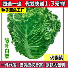 偰ҟo~ײ˷N~偲촺ļ߲˷N