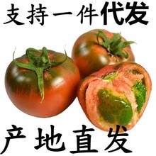 正宗铁皮草莓柿子10斤顺丰包邮蔬菜水果番茄西红柿新鲜碱地红柿子