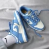 North Carolina Blue (rubber sole + squeaky sound + fast delivery)