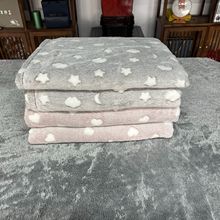 毛毯被冬加厚毯双面绒单新人学生宿舍沙发毯机法兰绒印花碎花外贸