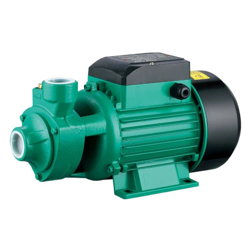 Вихревой насос серии QB60/70/80/pkm60, AC220/110/127 В, CP158, для чистой воды, вихревой повысительный насос