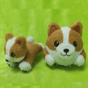 ���S���a��Ȥë�q���PС������8CM��ë�q��Ʒ�q��Ȯ�DƬ�H������