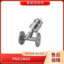 N174BDD PNEUMAX  ~~˾ {y Qy T290812P