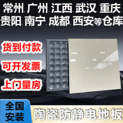 オールスチールセラミック帯電防止床600×600高架空ネットワークコンピュータルームPVC硫酸カルシウム可動床