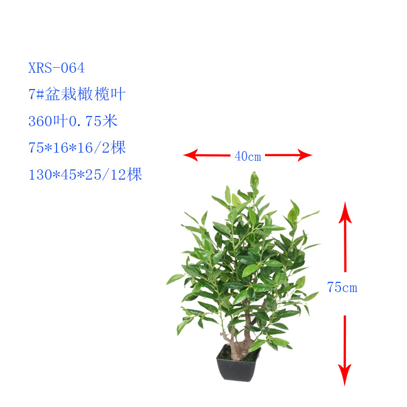 XRS-064 7#盆栽橄榄 (3).jpg