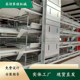 养殖场鸡笼全自动大层叠热镀锌鸡笼子自动收集自动清粪层叠式