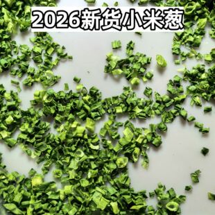 С���[��1ǧ��  2026��؛Óˮ���С���[ �˹����x�^�Y  �F؛���l