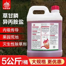 41%ݸ좮} و@sݠ݄ݸl