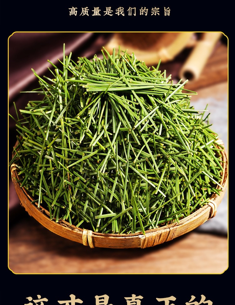 Pine Needle Tea Song Zhen Loose Dried Needles Wild Harvested for Daily Infusion 500g key features