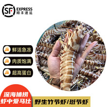 �g�؞� �r���ك��߹��r �ش�̖���r �Ź��r���r��ֻ ��ͥ�b2��