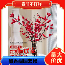 一件代发红梅干枝水培桃花鲜枝腊梅鲜花室内花卉雪柳干支水养冬季