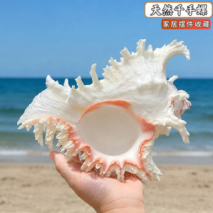 ��ǧ���� ��Ȼ�����bҾӔ[��ˮ���~���b�ǧ�֘˱������l