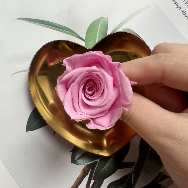 Материалы для DIY вечной жизни цветка, класс B, голова вечной розы 2–3 см, маленький брелок-розочка с основным материалом