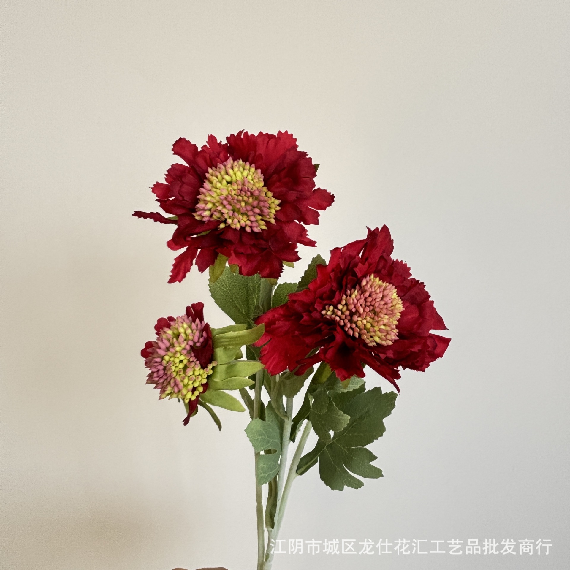 새로운 동충하초