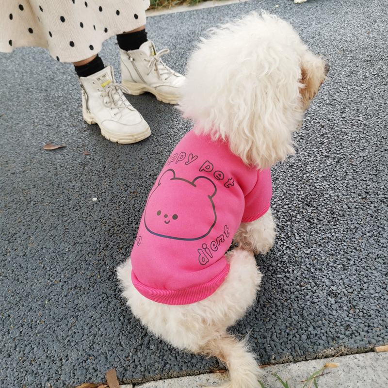 Muñeca oso lindo cachorro suéter forrado de lana oso de peluche medio y pequeño perro ropa otoño e invierno ropa para mascotas