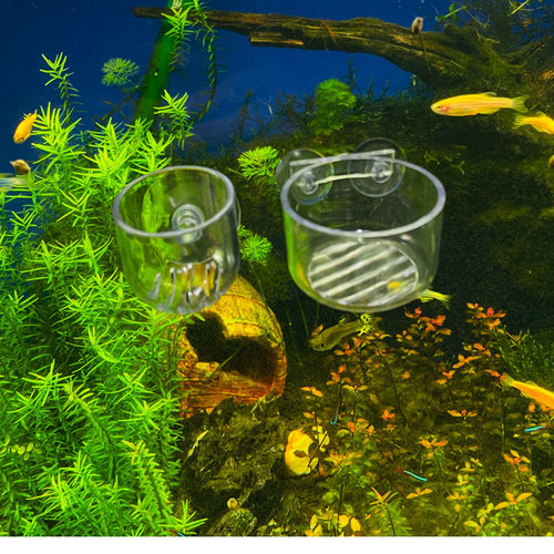 Acrylic blood worm cup, blood worm cup, plexiglass feeder, water grass cup, air cup, Moss cup, brine shrimp
