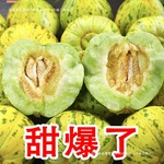 【5斤八里香甜瓜花姑娘香瓜脆瓜应季水果花蕾甜瓜新鲜现摘整箱3斤