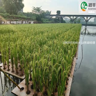 A large number of high-density foam floating bed eva Rice floating bed surface planting floating board EVA floating board can be sent to the basin