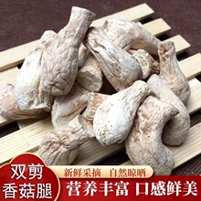 �㹽�_�p���㹽���㹽���㹽���r���㹽�_ʳ���r�aƷ���㹽����؛