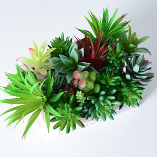 �������ֲ�������辰ֲ�që�ٶ�������廨�Gֲ��DIY�b[��