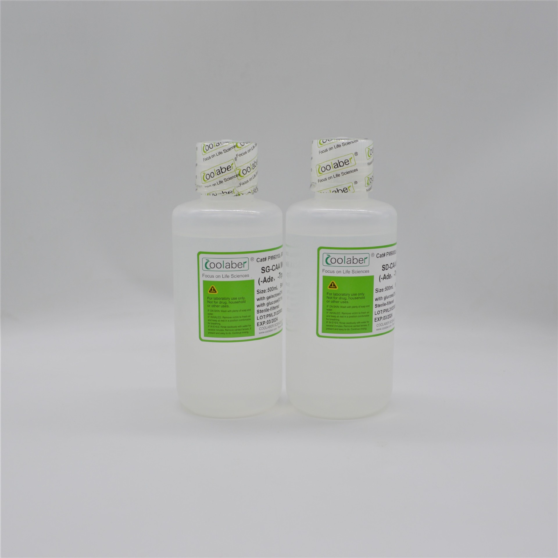 2×Laemmli上样缓冲液