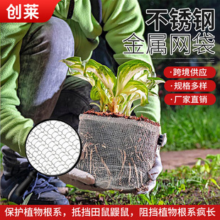 304���P䓽��پW�����ݸ������x����W���������ٷ���ҧ�W��ֲ��