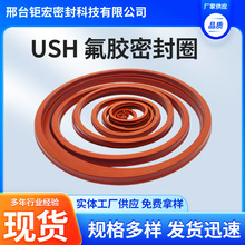 USH密封圈液压油缸油封耐高温氟橡胶大全活塞杆密封圈