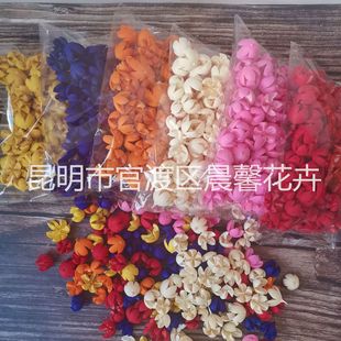 ����bɻ�ɢ�b�_�Ĺ�ʮ�ֹ��_��Ц��Ȼ�ɻ��ֹ�DIY���