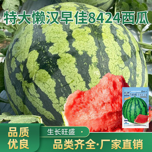 �Нh������8424���ϷN���ѳ���߮a���챡Ƥ�������N��