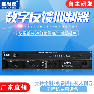 Two-in two-out automatic one-click anti-howling professional feedback suppressor conference microphone home microphone anti-howling