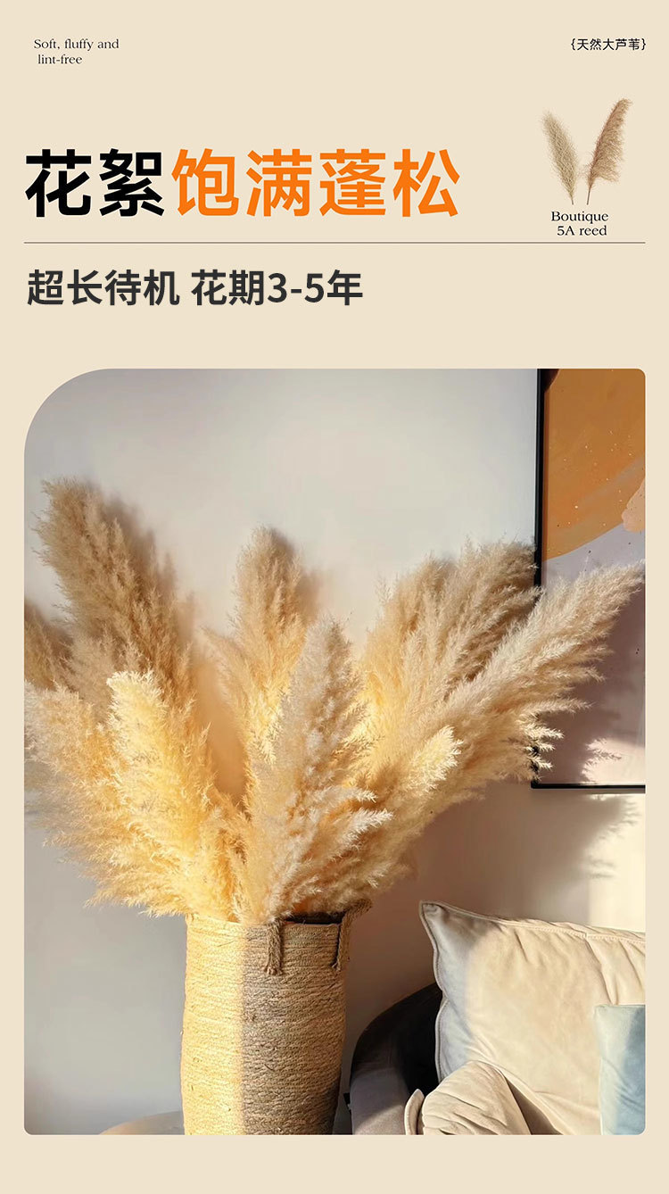 671cdef5-83cb-48b9-b6ef-ec80e5b2e597.jpe