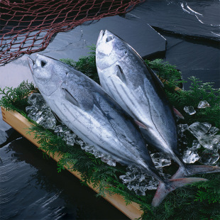 ���~�����ω�˾���팣���~Ƭ�жν��~�����l�ЉK�P������l