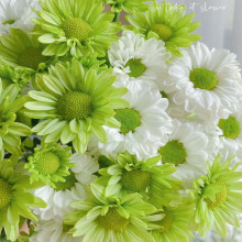 NСrճxջֲ҃Ȼ̫ꖻNļ_N