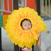 The opening ceremony of the sunflower head set of sunflower head set of sunflower face set enrollment