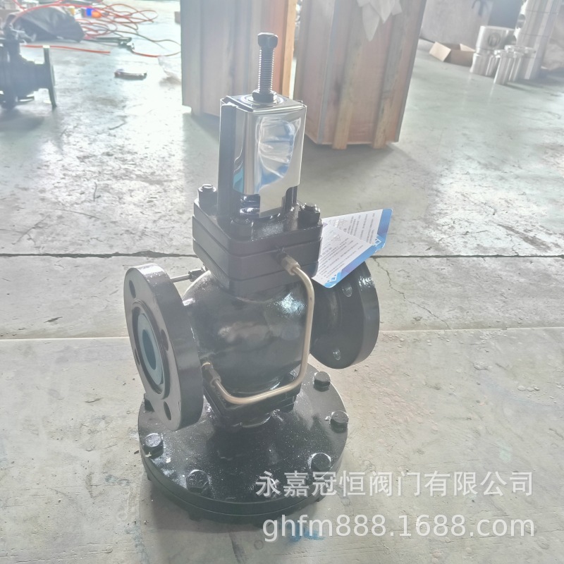 DP25P-40C DN25 铸钢材质 先导式膜片斯派莎克减压阀
