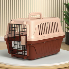 ペットの航空箱の猫は携帯して外に出ます。