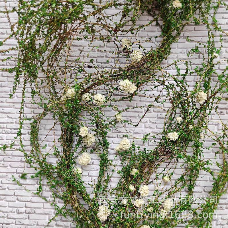 方寸景微缩仿真花藤模型花草爬山虎围栏装饰绿化DIY沙盘场景树叶|undefined