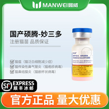 �����x��T�v���a������؈��؈��؈������؈����֧��؈����