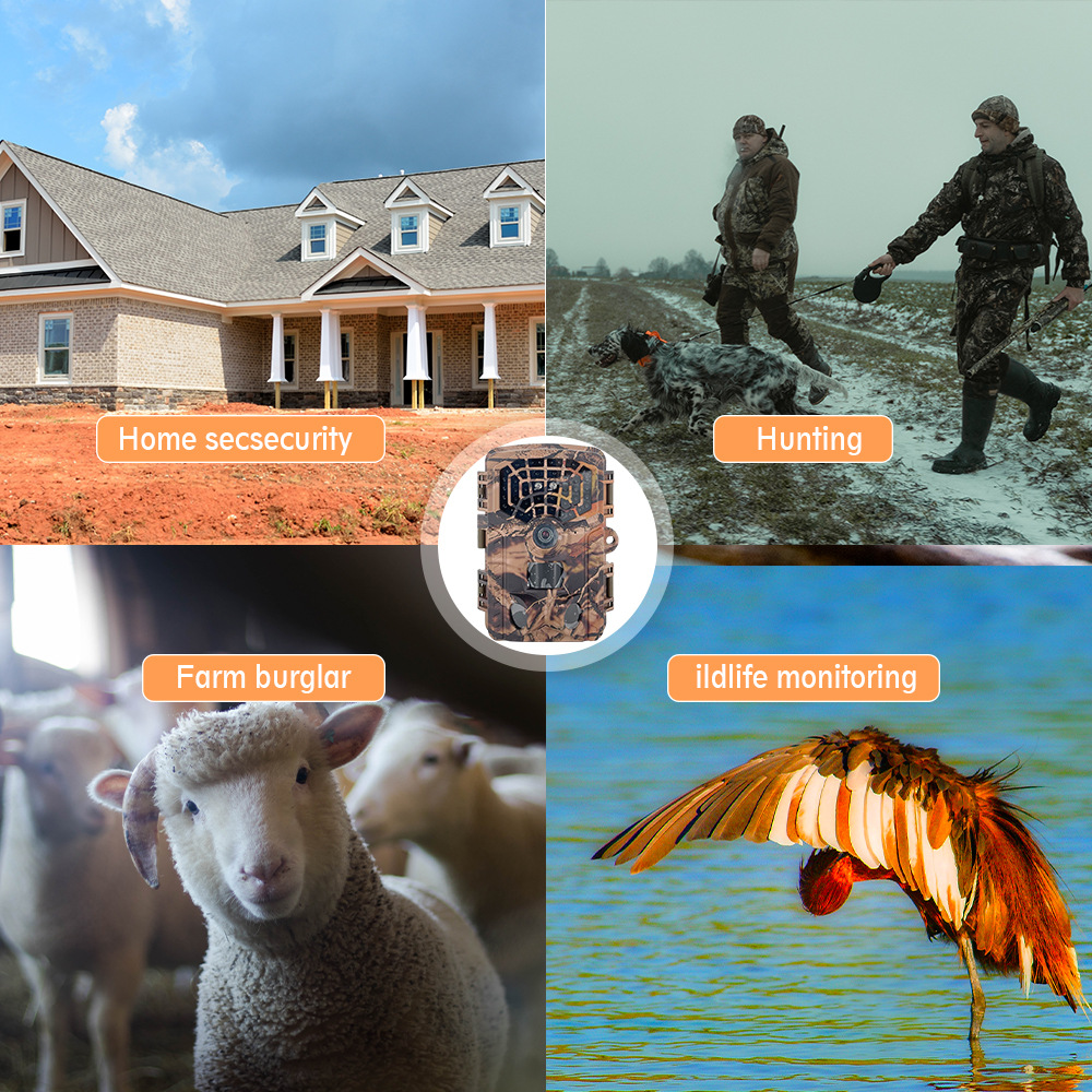 Four Major Scenes